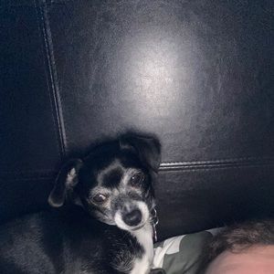 Meet your Posher, Tom